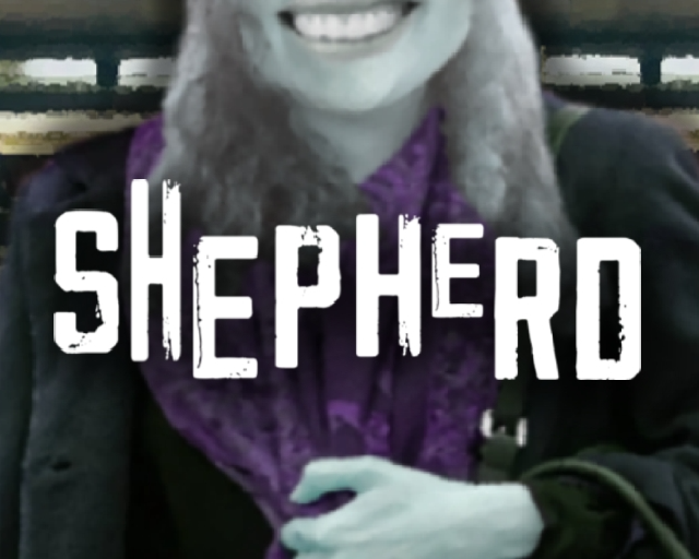 Shepherd Demo Version