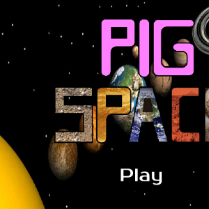 Pig Space