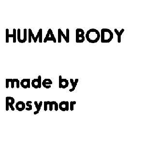 Human Body