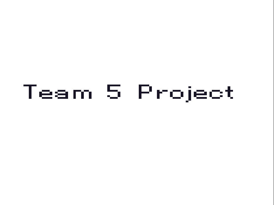 Team 5 Project