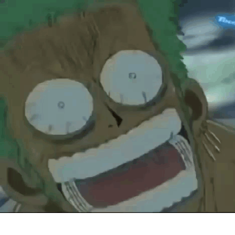 zoro is lost 