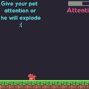 Take care of your pet