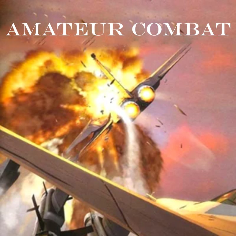 Amateur Combat