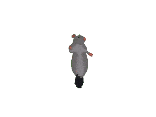 Dancing Rat-By Immanuel_do not edit!