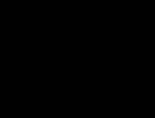 *void*