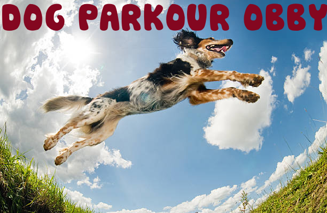 Dog Parkour Game