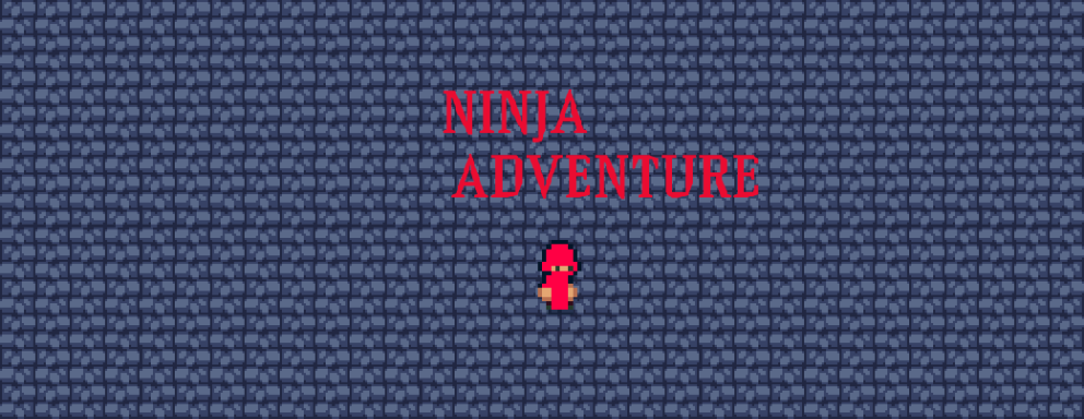 Ninja adventure